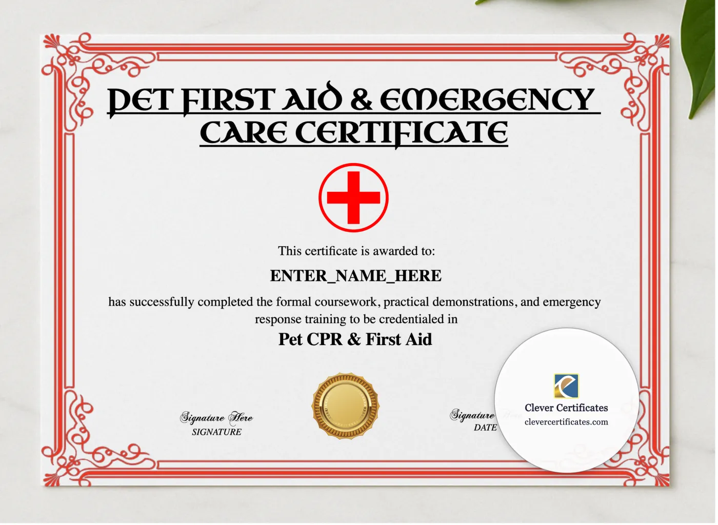 Pet First Aid Certification Certificate presented in a sleek wooden frame, elegantly arranged on a stylish table.