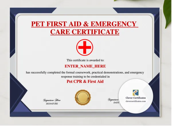 Pet CPR Certification Certificate presented in a sleek wooden frame, elegantly arranged on a stylish table.