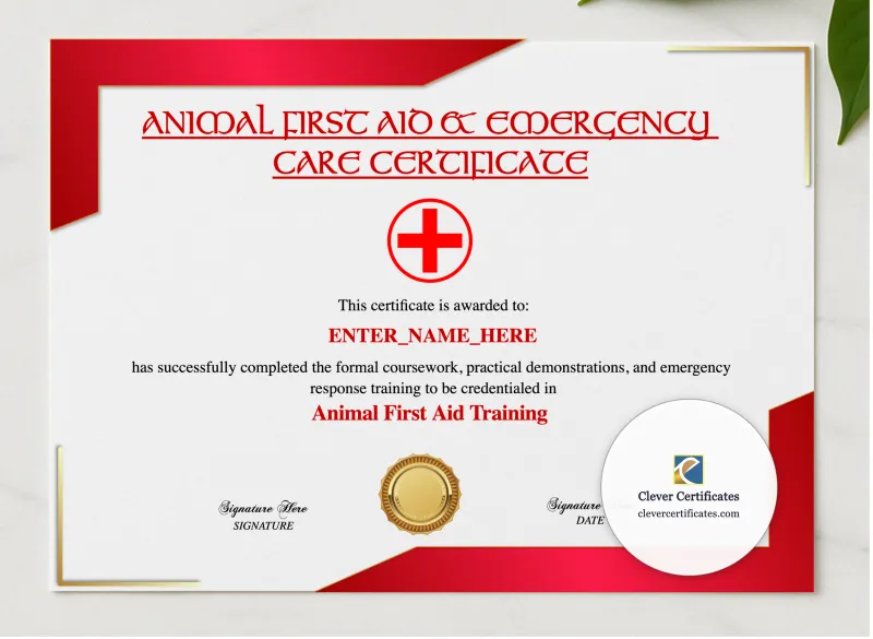 Animal First Aid Training Certificate presented in a sleek wooden frame, elegantly arranged on a stylish table.
