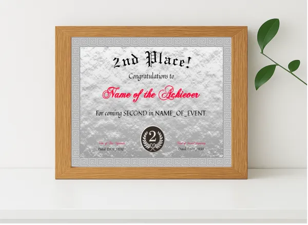 Realistic mockup featuring 2nd Place Award displayed within a modern frame, set against a minimalistic background.