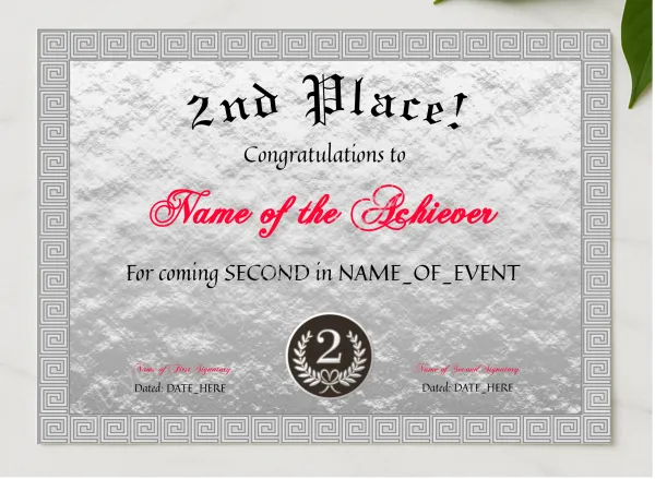 2nd Place Award presented in a sleek wooden frame, elegantly arranged on a stylish table.