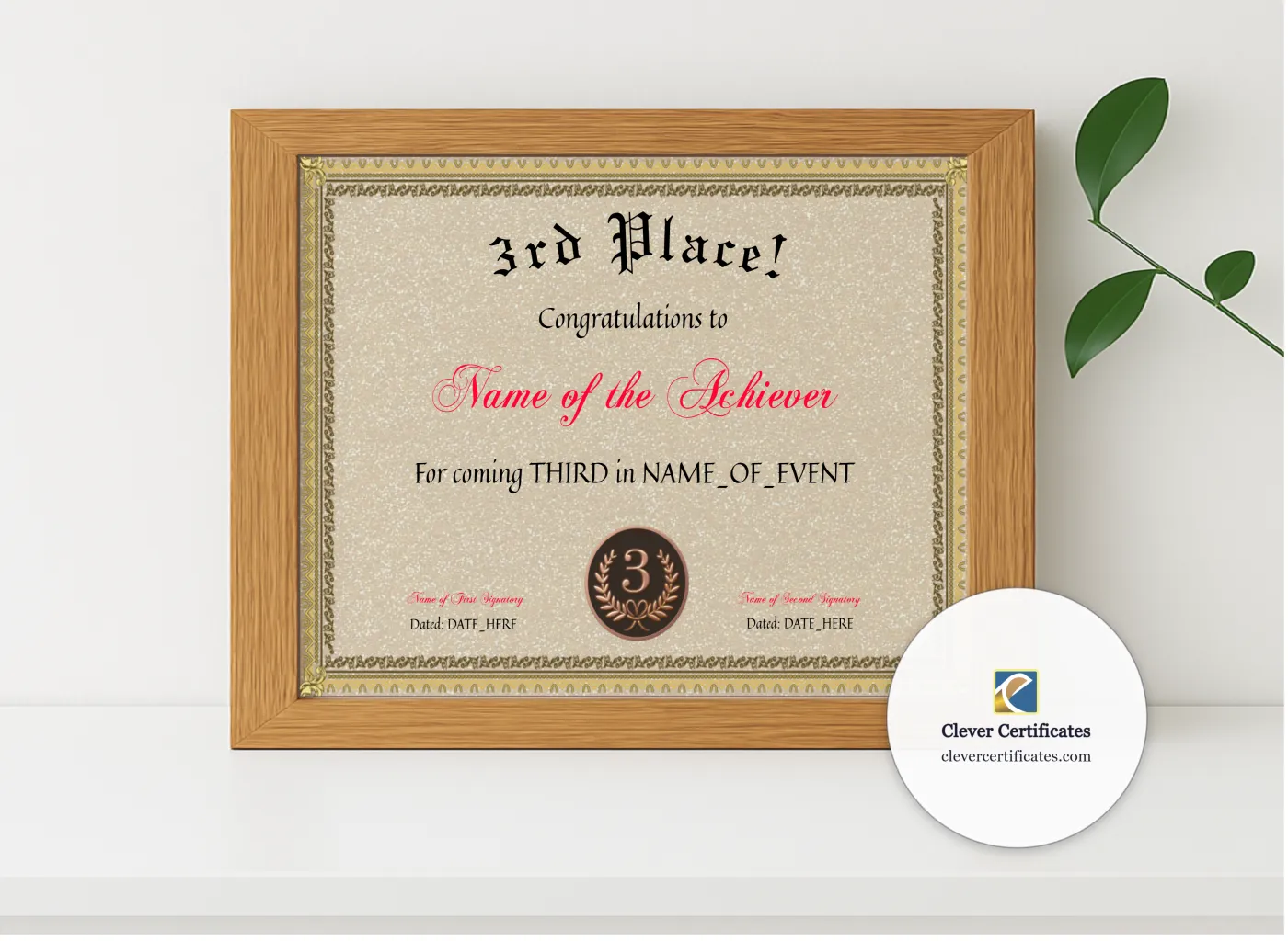 Realistic mockup featuring 3rd Place Award displayed within a modern frame, set against a minimalistic background.