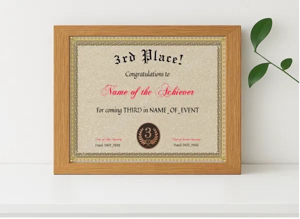 Realistic mockup featuring 3rd Place Award displayed within a modern frame, set against a minimalistic background.