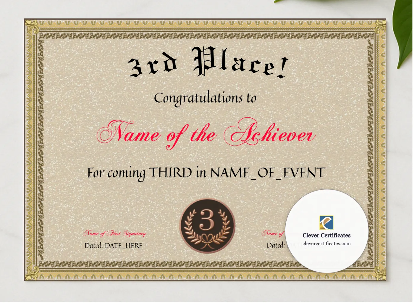 3rd Place Award presented in a sleek wooden frame, elegantly arranged on a stylish table.