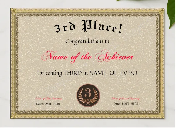 3rd Place Award presented in a sleek wooden frame, elegantly arranged on a stylish table.