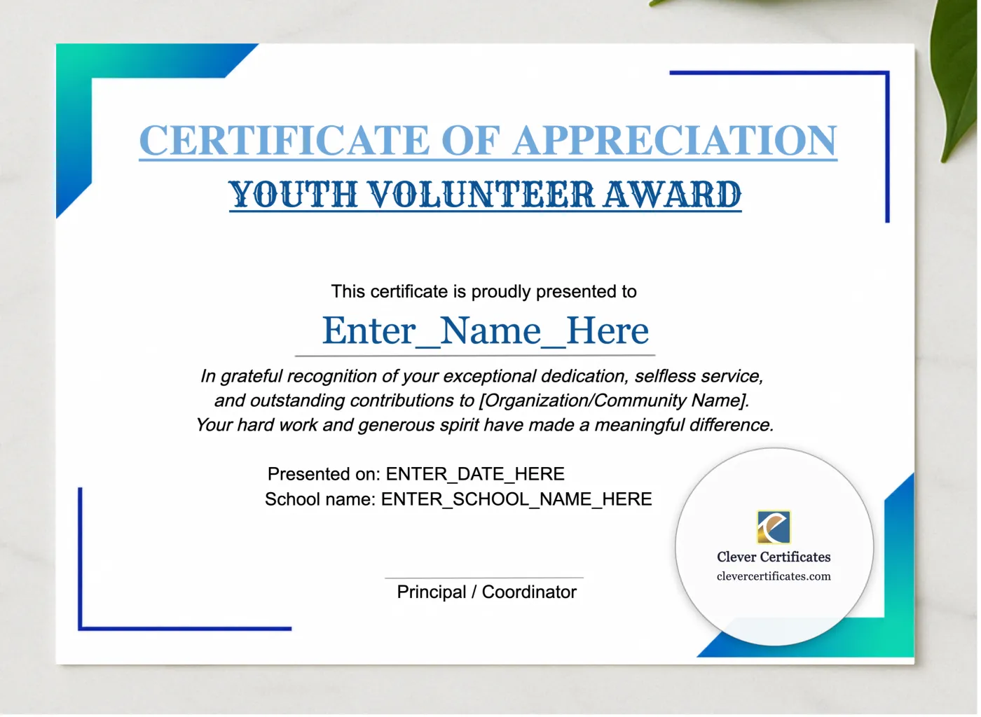 Youth Volunteer Certificate presented in a sleek wooden frame, elegantly arranged on a stylish table.