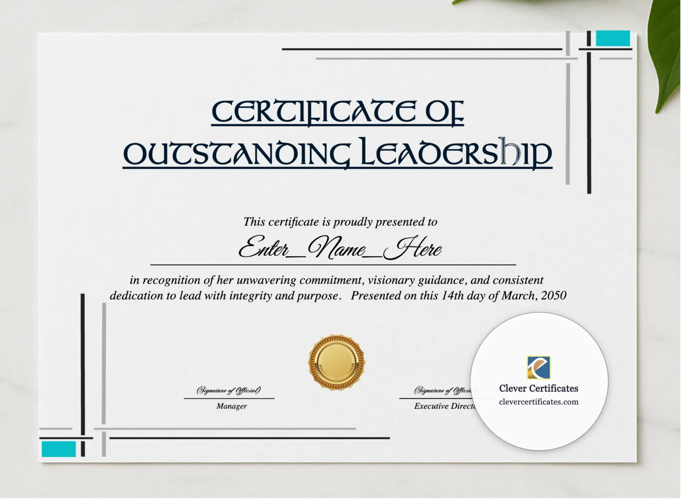 Leadership Excellence Award Certificate presented in a sleek wooden frame, elegantly arranged on a stylish table.