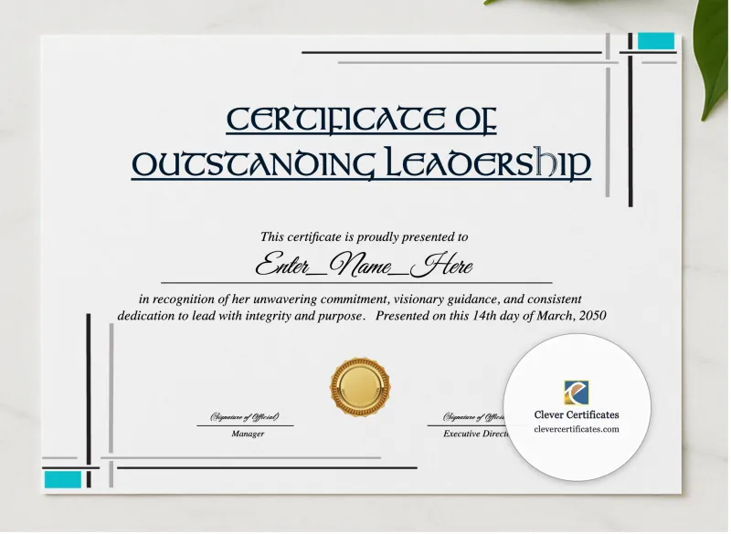 Leadership Excellence Award Certificate presented in a sleek wooden frame, elegantly arranged on a stylish table.