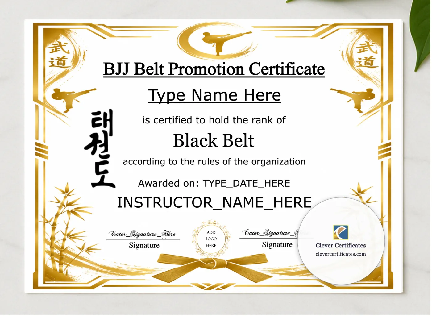 BJJ Belt Promotion Certificate presented in a sleek wooden frame, elegantly arranged on a stylish table.