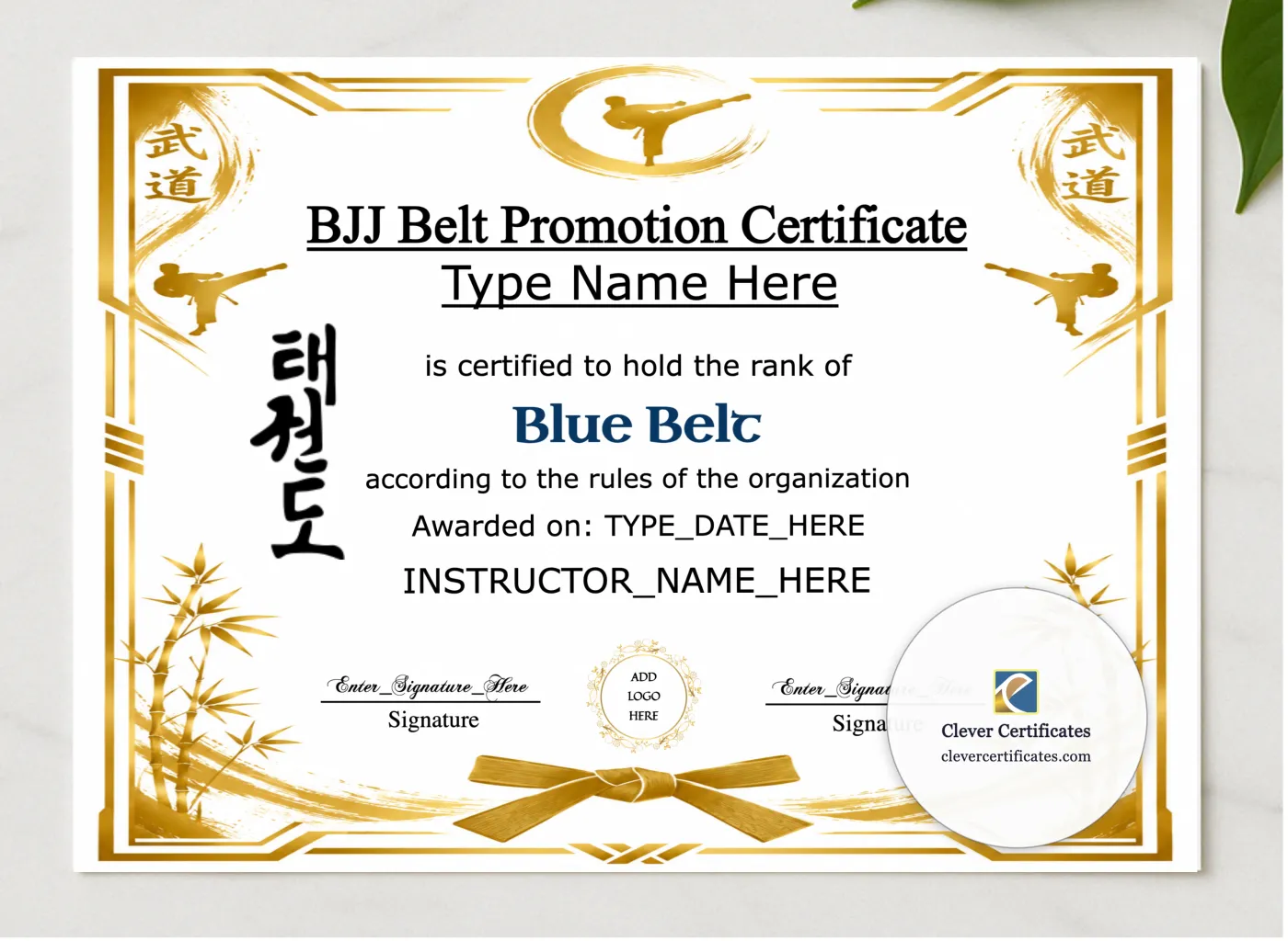 BJJ Blue Belt Certificate presented in a sleek wooden frame, elegantly arranged on a stylish table.