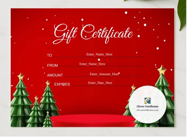 Holiday Gift Certificate presented in a sleek wooden frame, elegantly arranged on a stylish table.