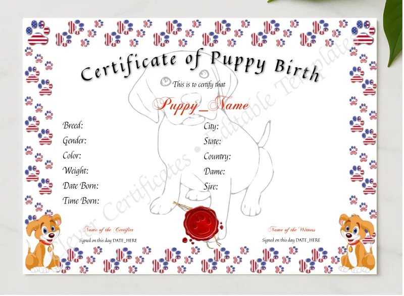 Puppy Birth Certificate presented in a sleek wooden frame, elegantly arranged on a stylish table.