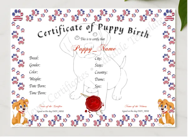 Puppy Birth Certificate presented in a sleek wooden frame, elegantly arranged on a stylish table.