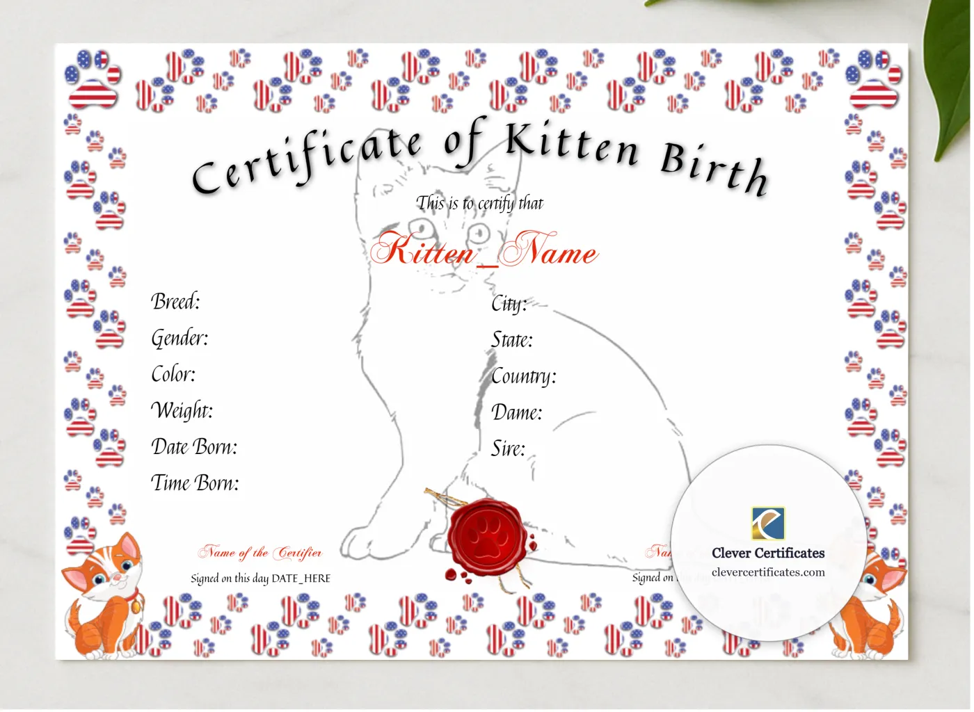Kitten Birth Certificate presented in a sleek wooden frame, elegantly arranged on a stylish table.