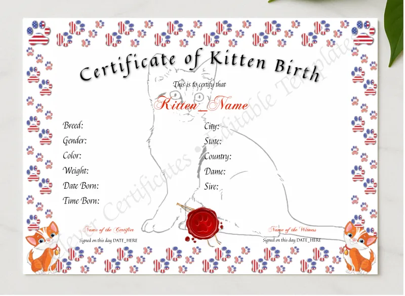 Kitten Birth Certificate presented in a sleek wooden frame, elegantly arranged on a stylish table.