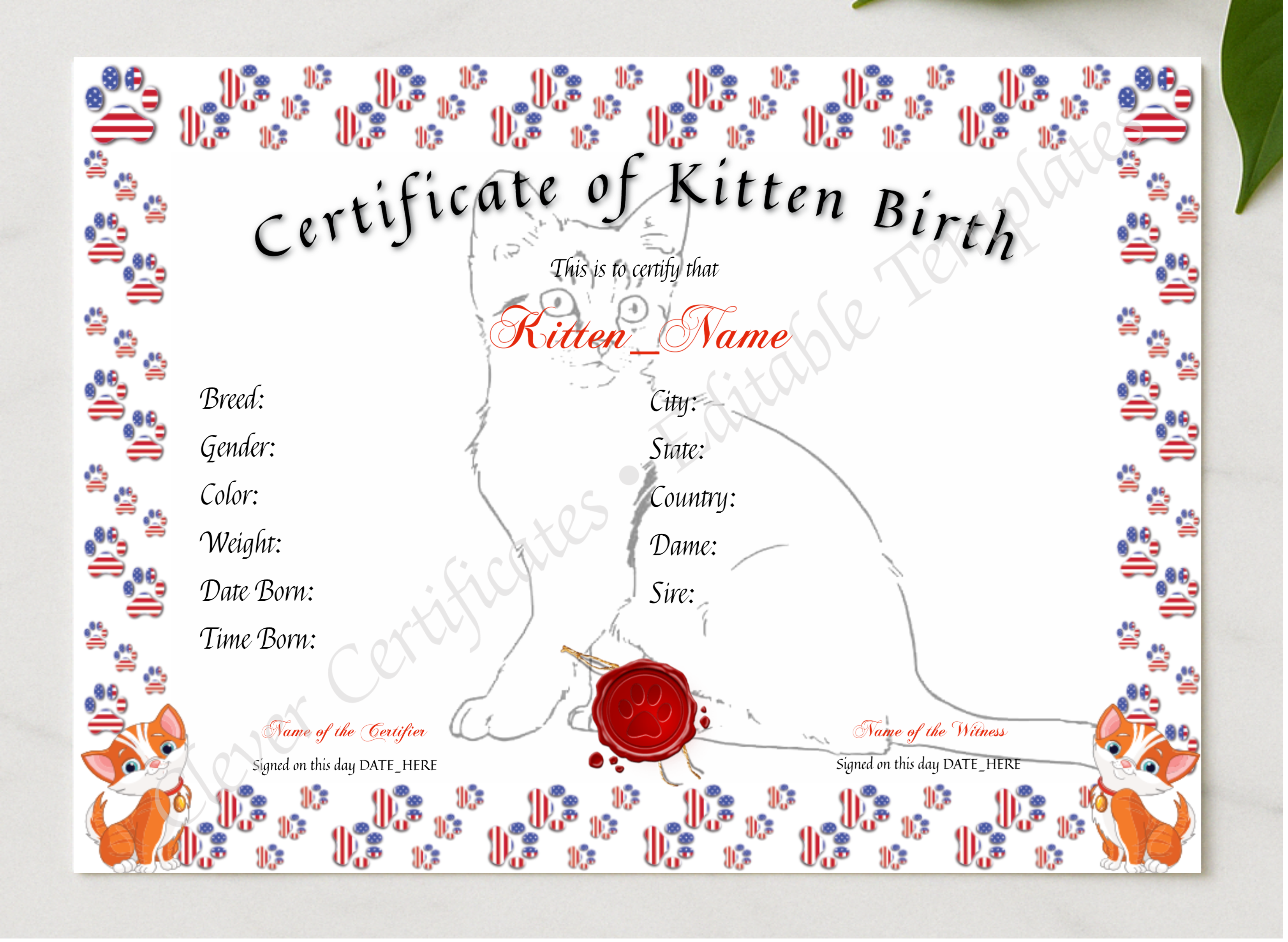 Kitten Birth Certificate presented in a sleek wooden frame, elegantly arranged on a stylish table.