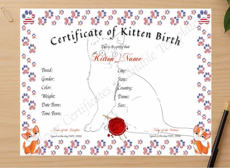 Professional preview of Kitten Birth Certificate certificate on high-quality stationery paper, ideal for showcasing the final look.