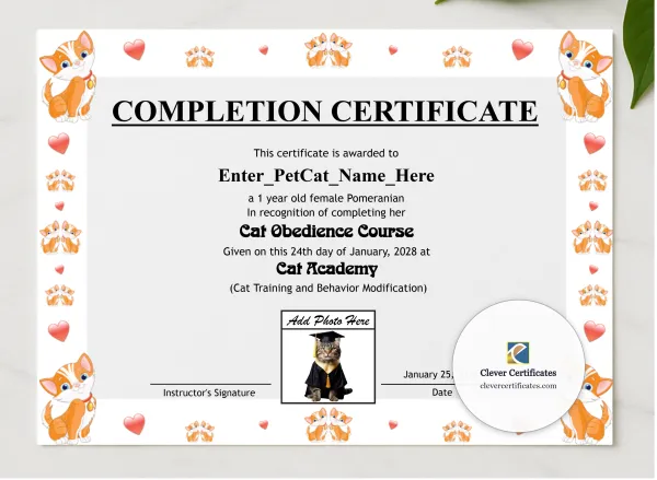 Cat Completion Certificate presented in a sleek wooden frame, elegantly arranged on a stylish table.