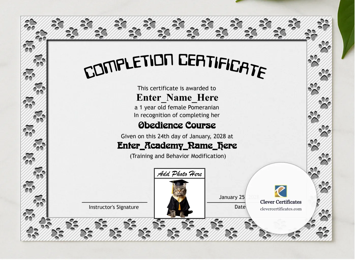 Paw Some Achiever Certificate presented in a sleek wooden frame, elegantly arranged on a stylish table.