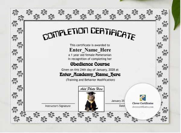 Paw Some Achiever Certificate presented in a sleek wooden frame, elegantly arranged on a stylish table.