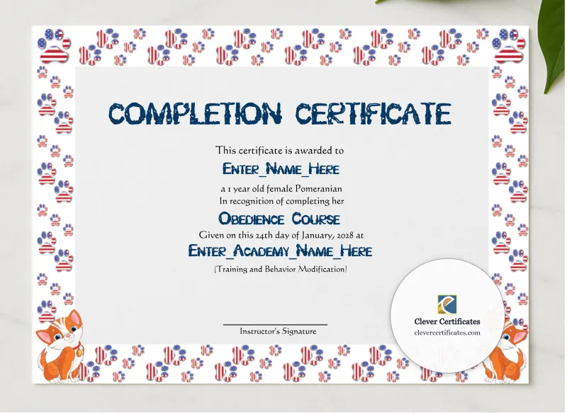 Honorary Cat Achiever Certificate presented in a sleek wooden frame, elegantly arranged on a stylish table.