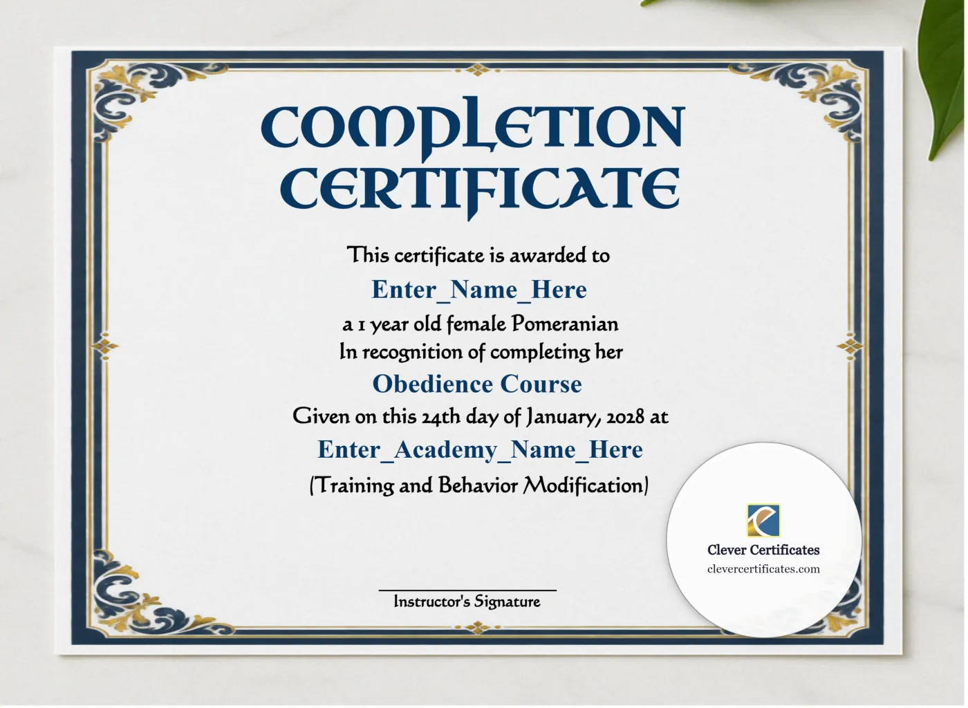 Treats Champion Certificate presented in a sleek wooden frame, elegantly arranged on a stylish table.