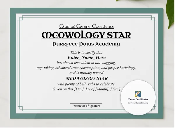Meowology Star Certificate presented in a sleek wooden frame, elegantly arranged on a stylish table.