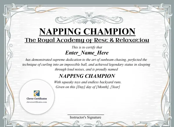 Free Napping Champion Certificate Template