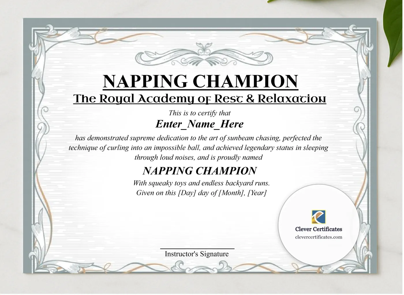 Napping Champion Certificate presented in a sleek wooden frame, elegantly arranged on a stylish table.