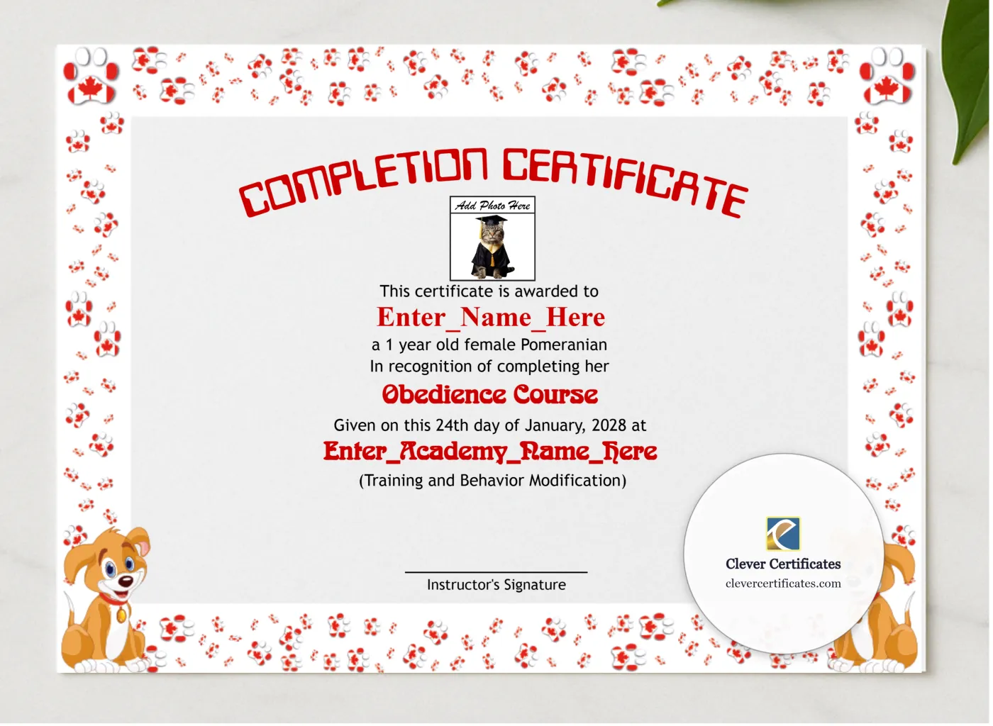 Canine Academy Completion Certificate presented in a sleek wooden frame, elegantly arranged on a stylish table.