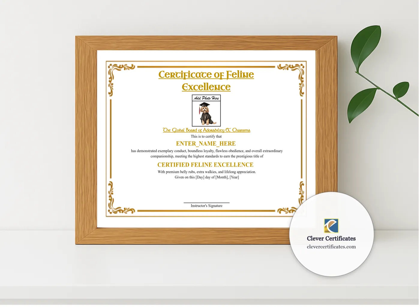 Realistic mockup featuring Feline Academy Completion Certificate displayed within a modern frame, set against a minimalistic background.