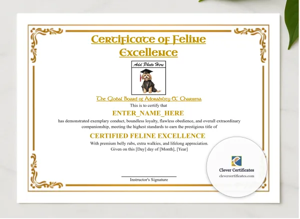 Feline Academy Completion Certificate presented in a sleek wooden frame, elegantly arranged on a stylish table.