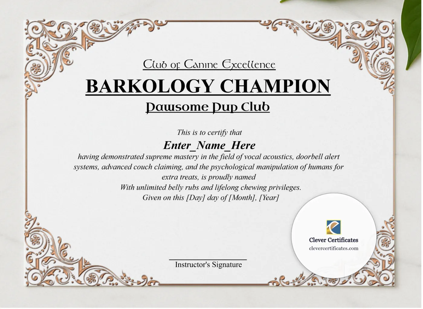 Barkology Champion Certificate presented in a sleek wooden frame, elegantly arranged on a stylish table.