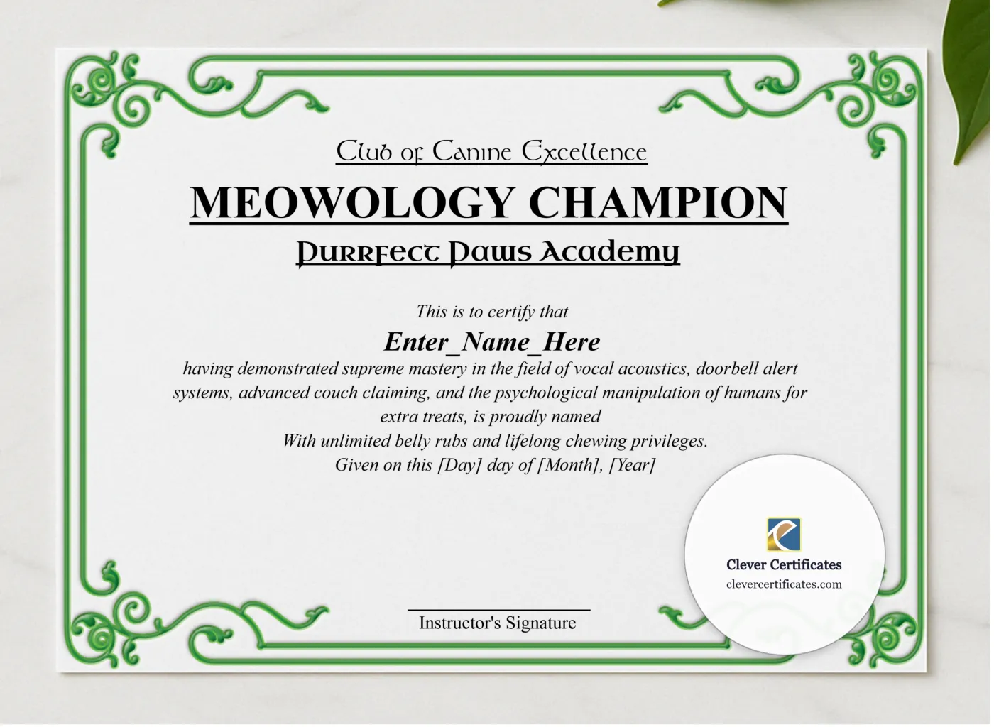 Meowology Champion Certificate presented in a sleek wooden frame, elegantly arranged on a stylish table.