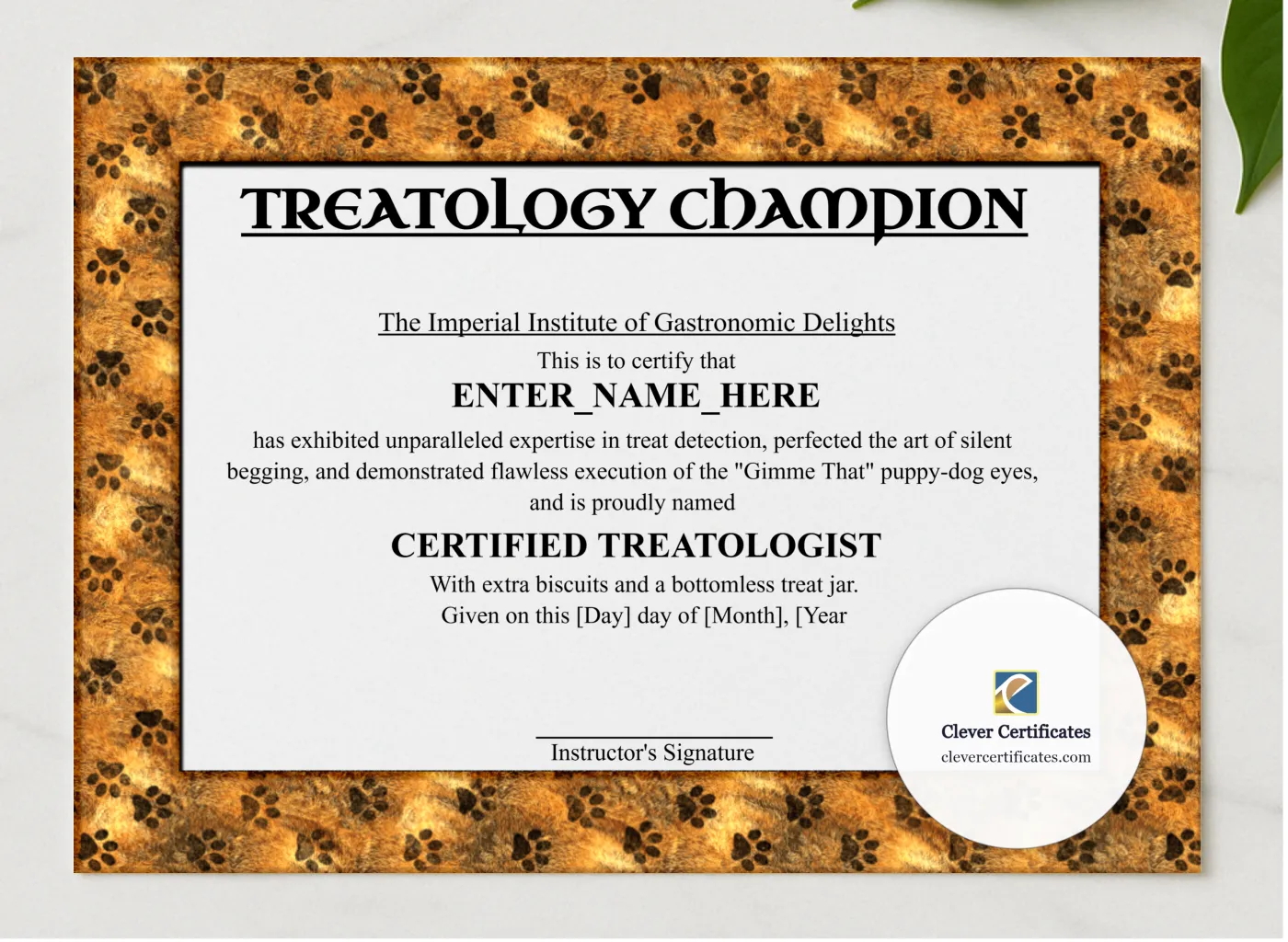 Treatology Champion Certificate presented in a sleek wooden frame, elegantly arranged on a stylish table.