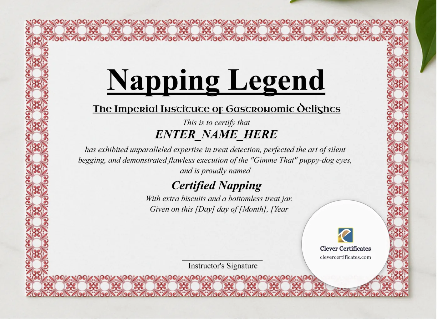 Napping Legend Certificate presented in a sleek wooden frame, elegantly arranged on a stylish table.