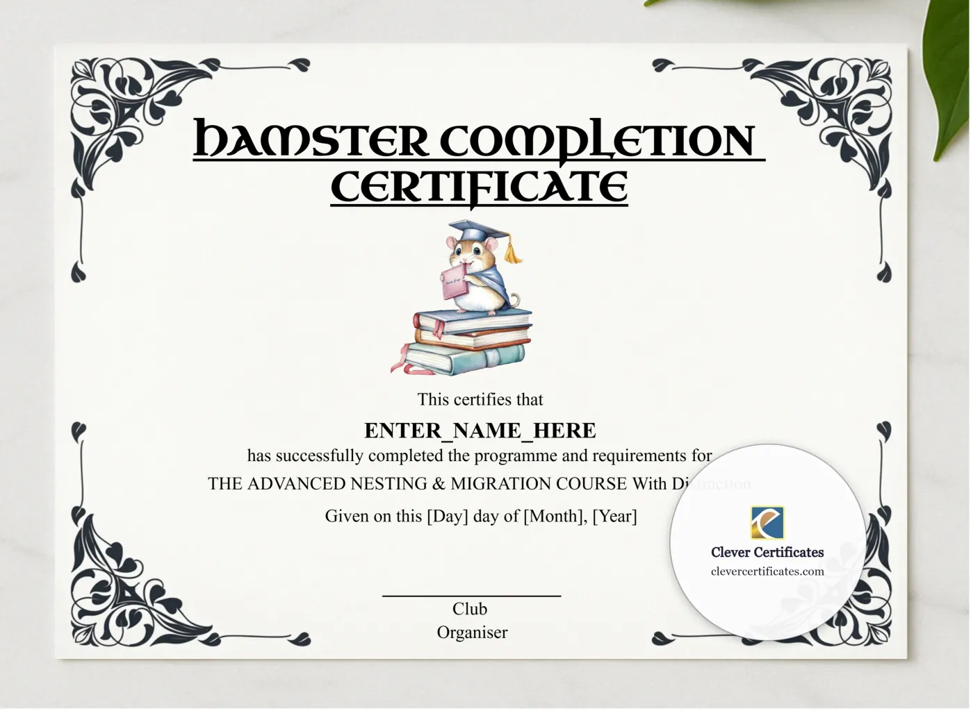 Hamster Completion Certificate presented in a sleek wooden frame, elegantly arranged on a stylish table.