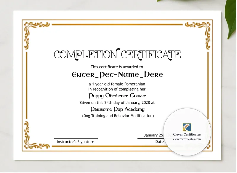 Pet Completion Certificate presented in a sleek wooden frame, elegantly arranged on a stylish table.