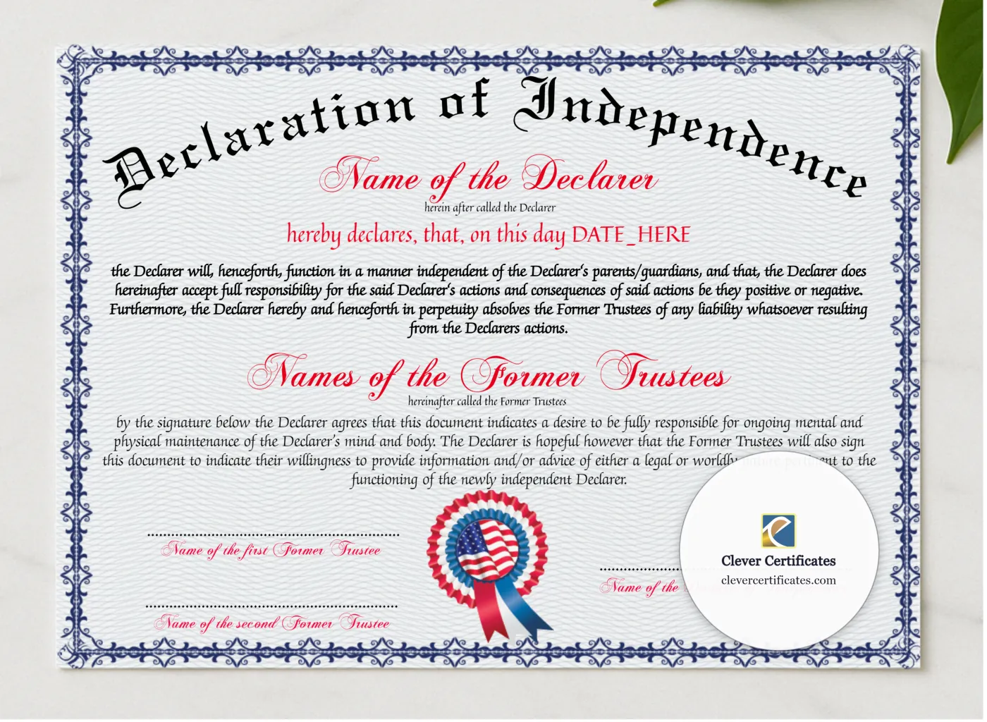 Declaration Of Independence presented in a sleek wooden frame, elegantly arranged on a stylish table.
