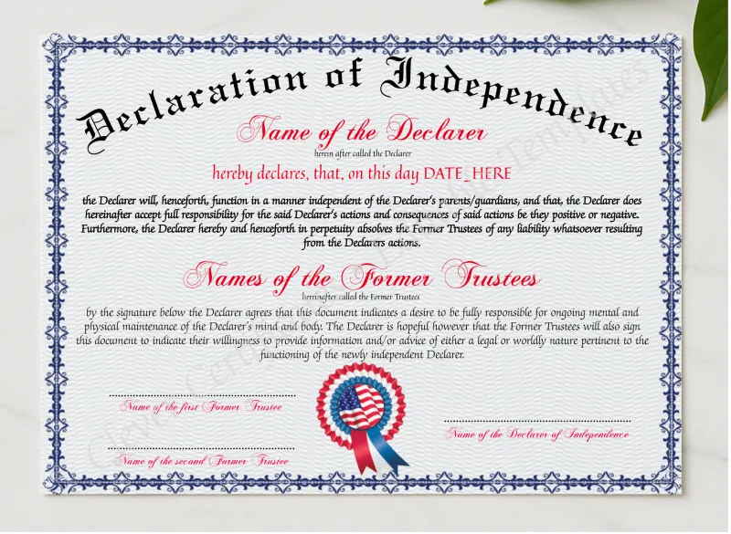 Declaration Of Independence presented in a sleek wooden frame, elegantly arranged on a stylish table.