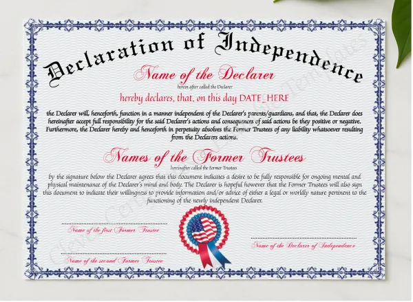 Declaration Of Independence presented in a sleek wooden frame, elegantly arranged on a stylish table.