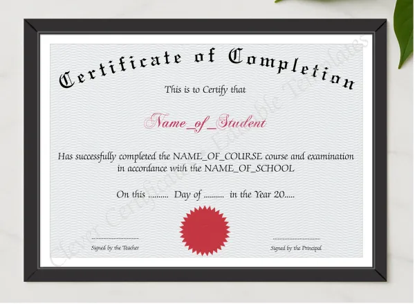 Certificate Of Completion 3 presented in a sleek wooden frame, elegantly arranged on a stylish table.