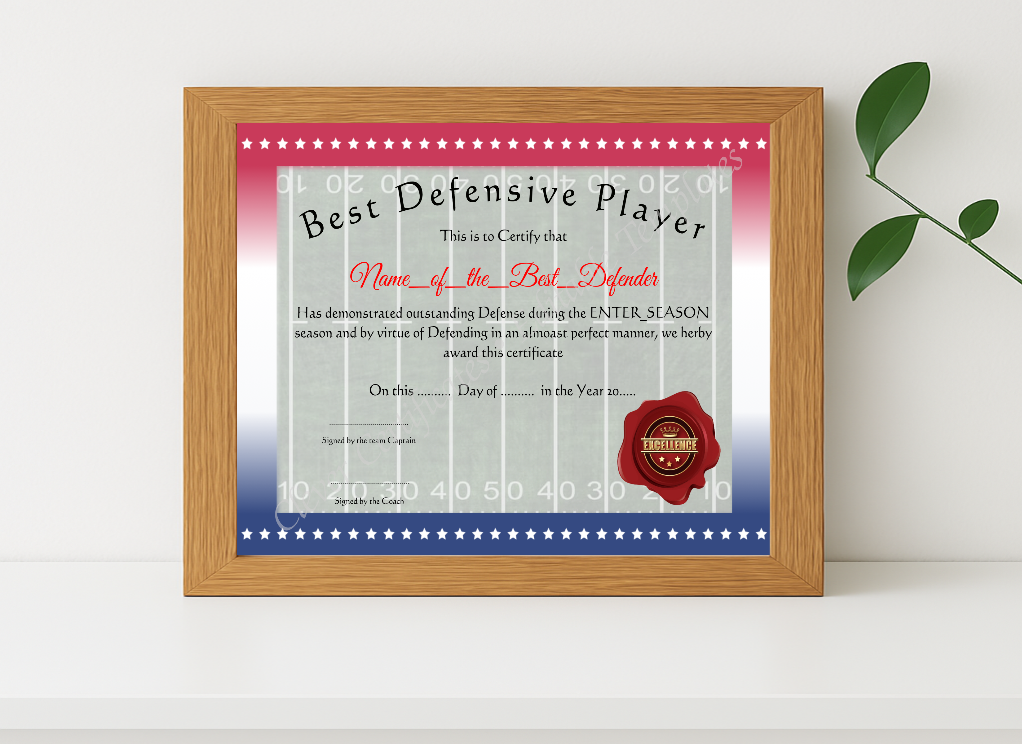 Realistic mockup featuring Best Defensive Player displayed within a modern frame, set against a minimalistic background.