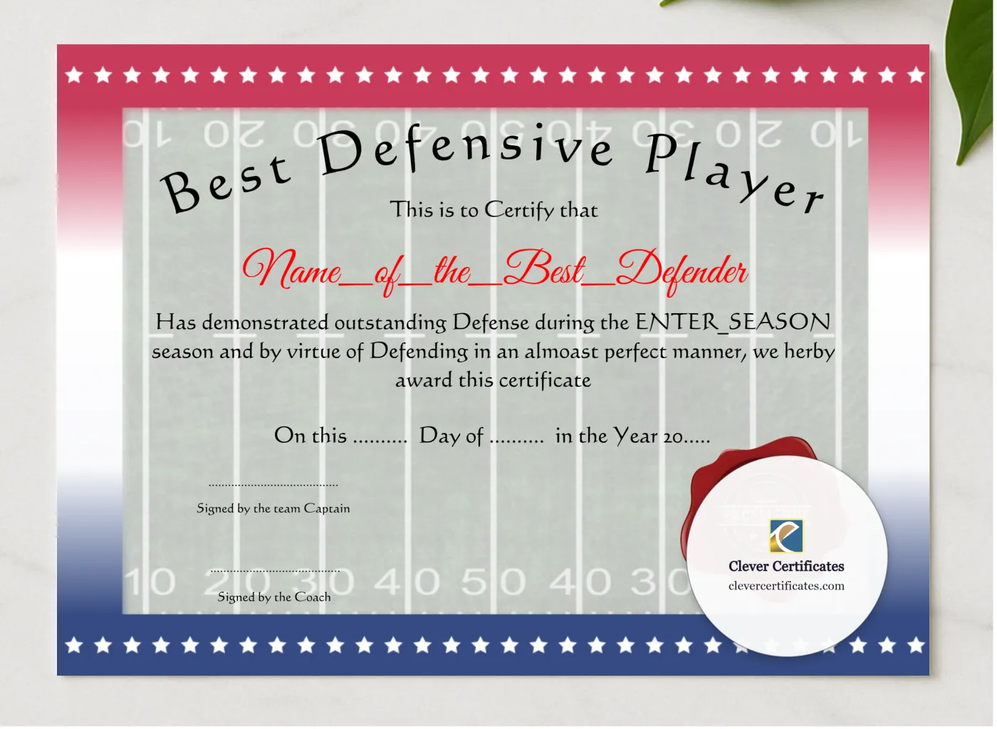 Best Defensive Player presented in a sleek wooden frame, elegantly arranged on a stylish table.