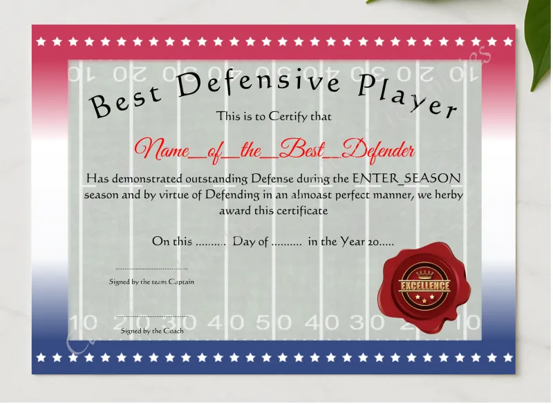 Best Defensive Player presented in a sleek wooden frame, elegantly arranged on a stylish table.