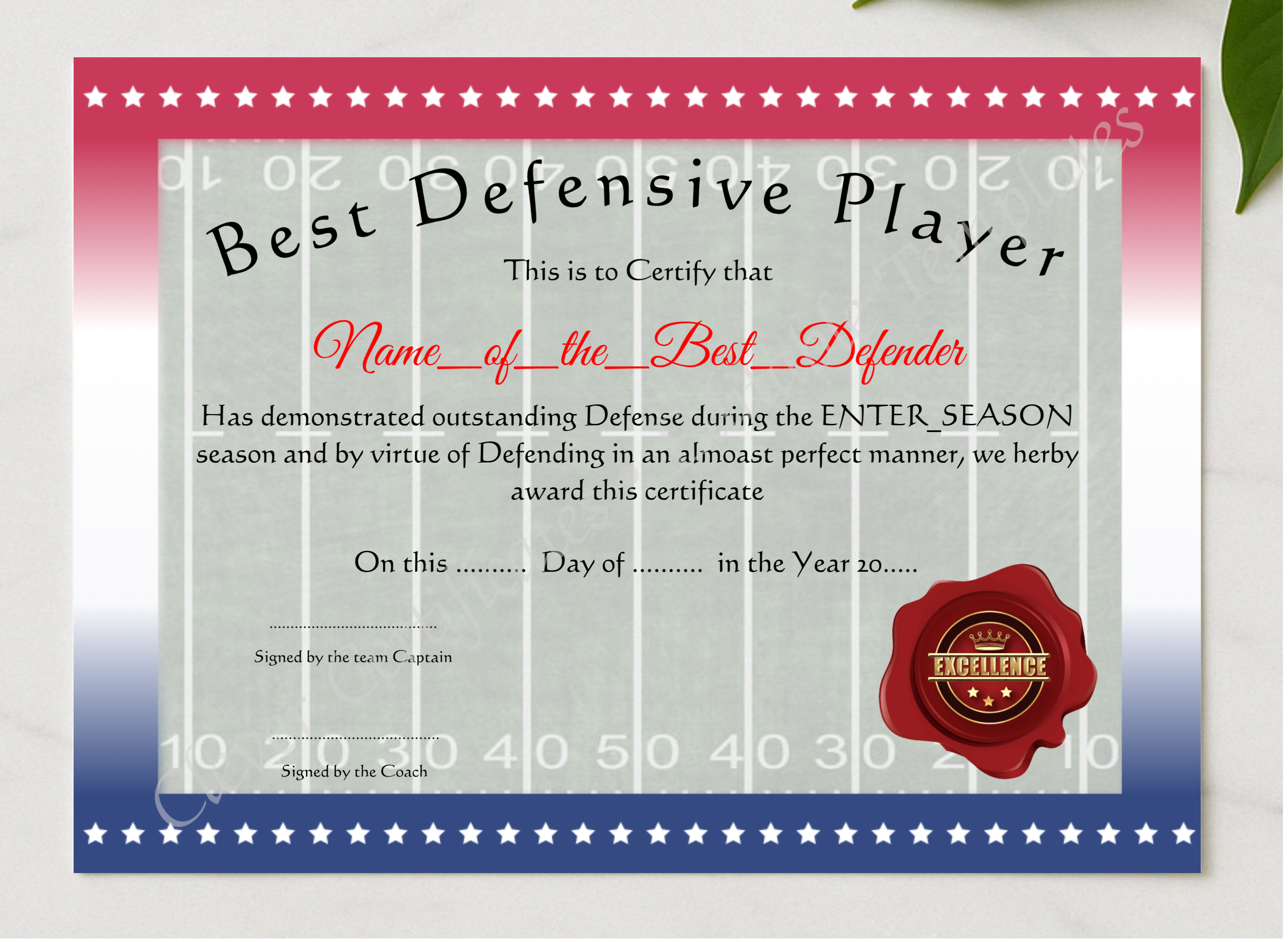 Best Defensive Player presented in a sleek wooden frame, elegantly arranged on a stylish table.