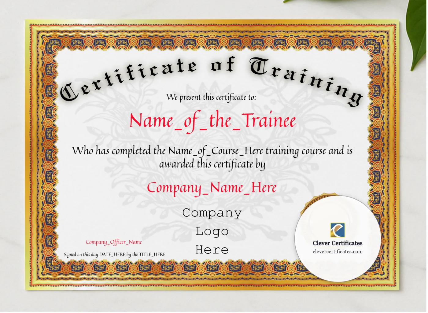 Certificate Of Training presented in a sleek wooden frame, elegantly arranged on a stylish table.