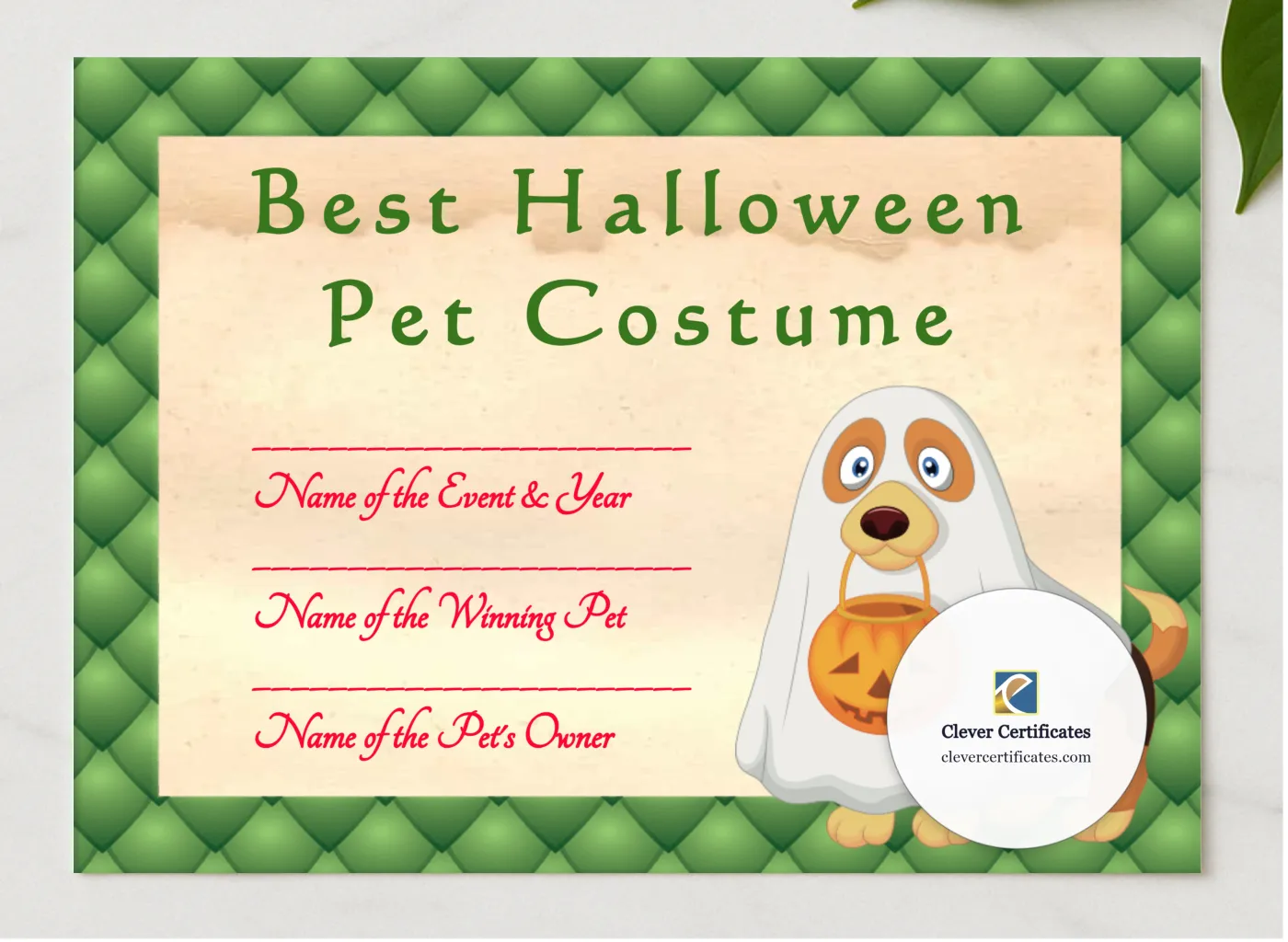 Halloween Pet Costume Award presented in a sleek wooden frame, elegantly arranged on a stylish table.