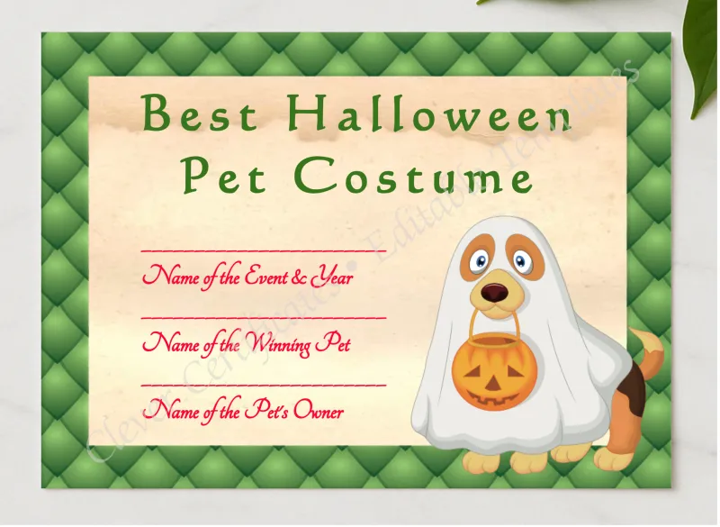 Halloween Pet Costume Award presented in a sleek wooden frame, elegantly arranged on a stylish table.
