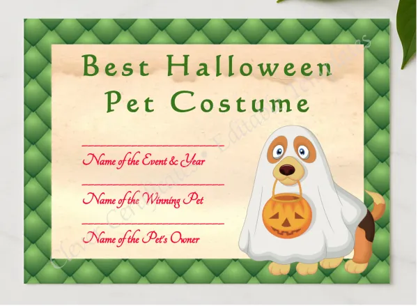 Halloween Pet Costume Award presented in a sleek wooden frame, elegantly arranged on a stylish table.